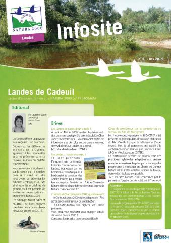 infosite_6