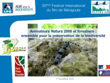 Festival de Ménigoute : le partenariat forestier à l'honneur