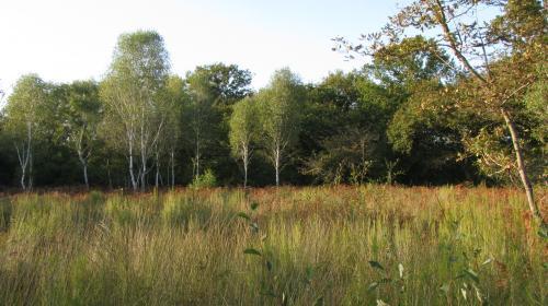 2012-10-22_parcelles_gripperie_lc02.jpg
