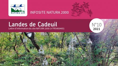 infosite_cadeuil_10_vf_page-0001.jpg