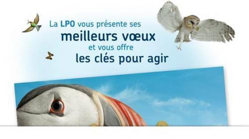 voeux.jpg